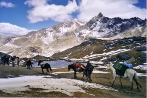 Lac Jatunpucacocha