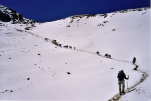 Monte au col Palomita 5100 m
