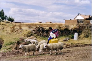 Valle Sacre