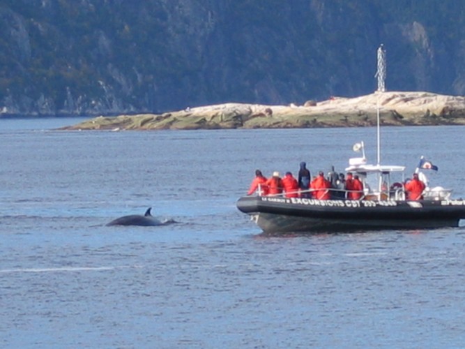 Tadoussac