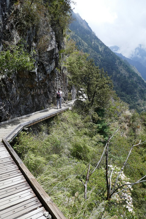 taiwan