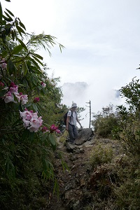 taiwan