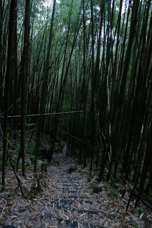 taiwan