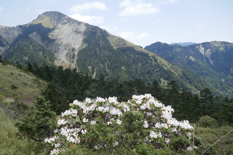 taiwan