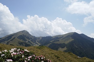 taiwan
