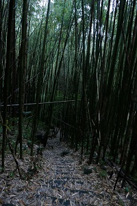 taiwan