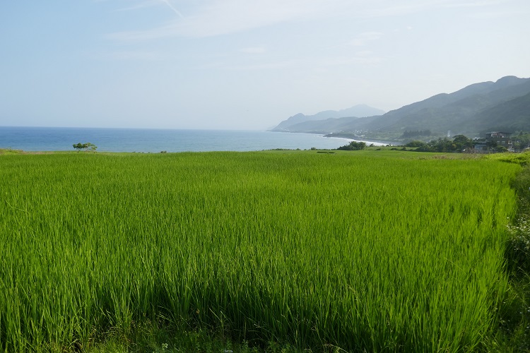 taiwan