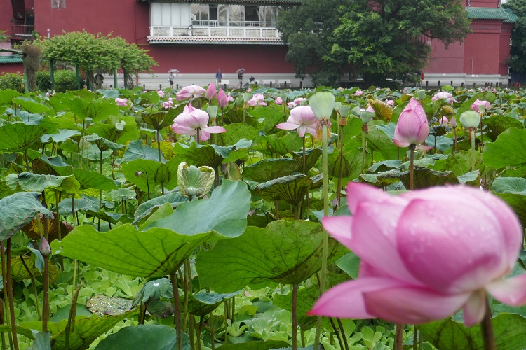 taiwan