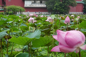 taiwan