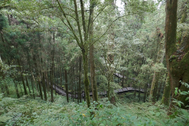 taiwan