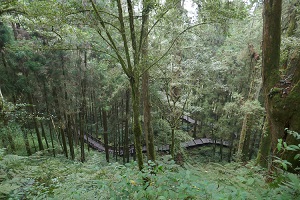 taiwan
