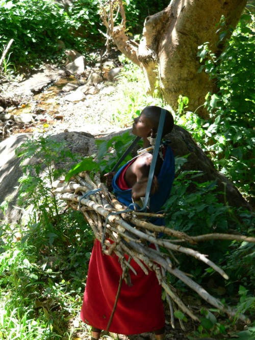 Femme masai portant le bois de construction pour la maison dune jeune marie