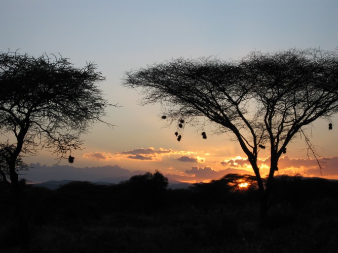 Coucher de soleil sur la brousse