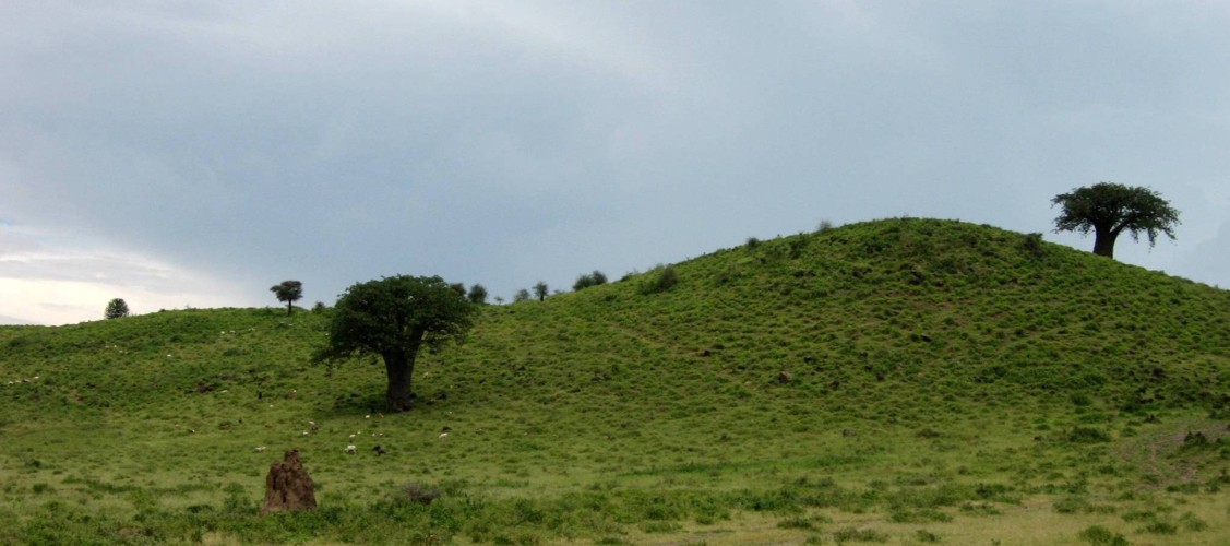 Environs du Lac Natron