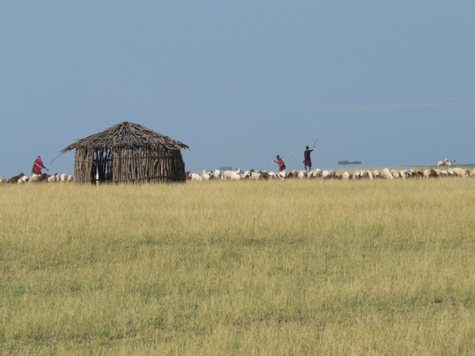 Boma masai