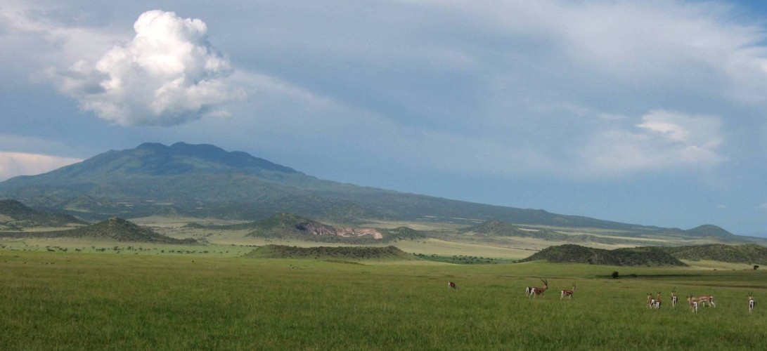 Environs du Lac Natron