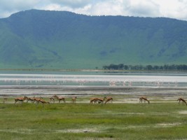 Cratre du Ngorongoro