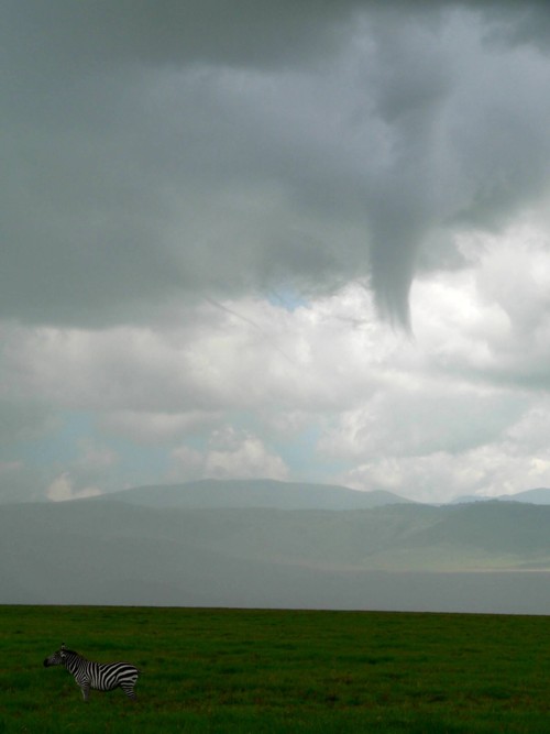 Orage au Ngorongoro
