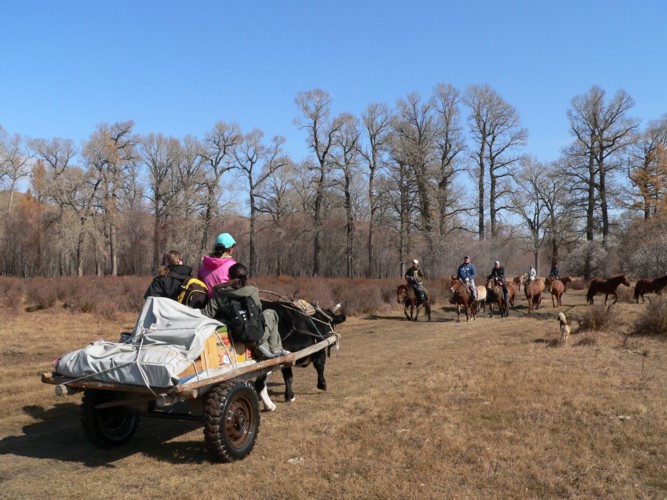 Trek dans les Monts Khentii