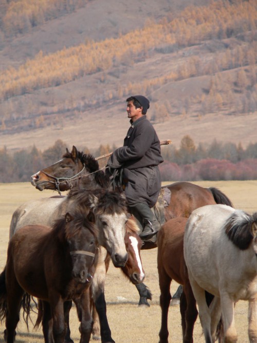 Trek dans les Monts Khentii