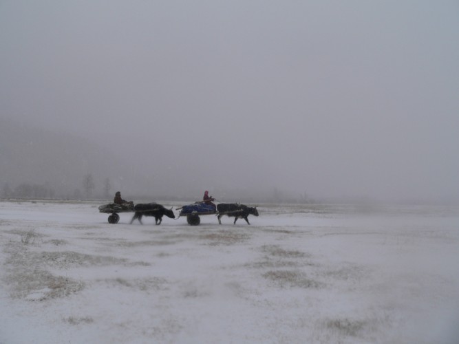 Sous la neige
