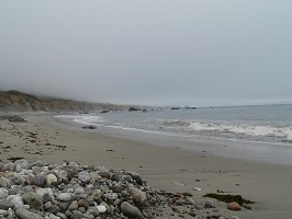 monterey