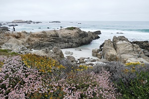 monterey