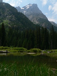 teton