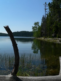 teton