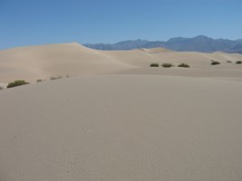 Dunes de sable