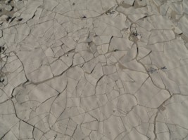 Dunes de sable