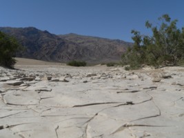 Dunes de sable