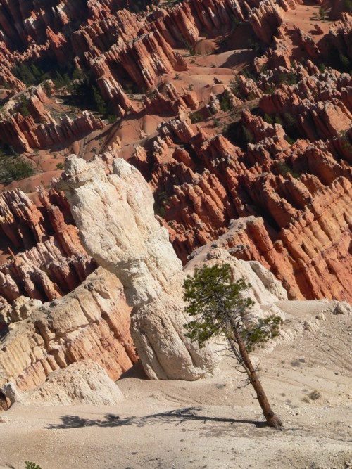 Bryce Canyon