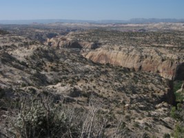 En chemin entre Bryce Canyon et Capitol Reef
